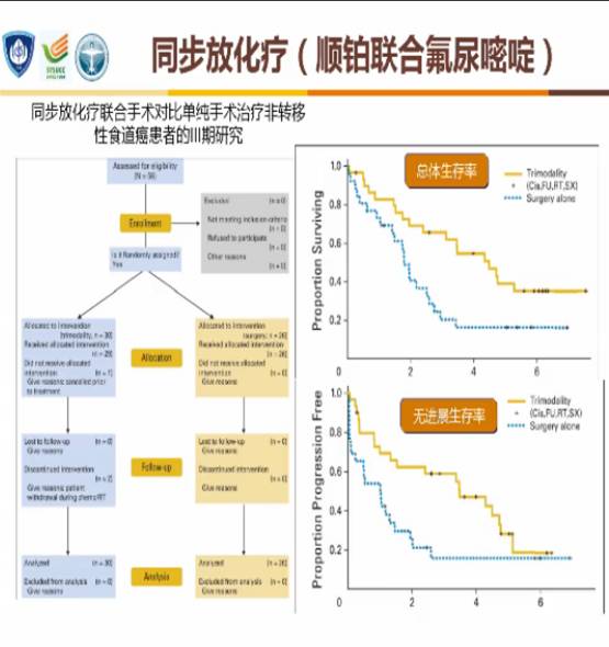 2023版csco胃癌诊疗指南分子检测,2024csco胃癌诊疗指南