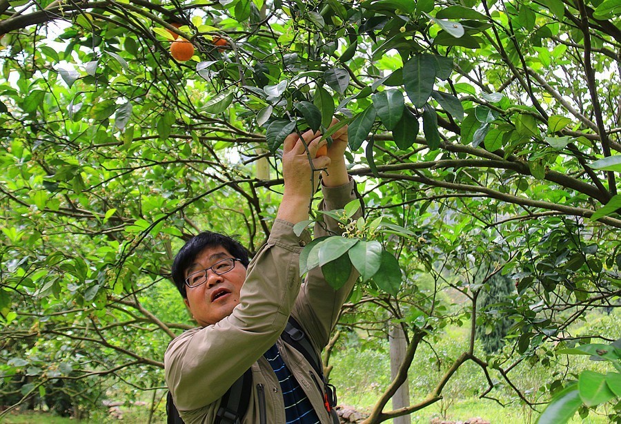 元宝山下,山水云间,悠悠闲云时光,恰好那时我也在