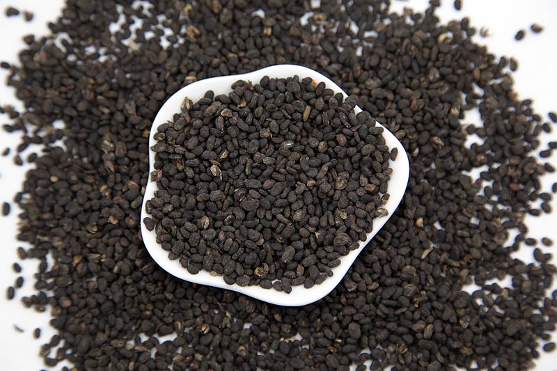 夜雨剪春韭图片,夜雨剪春韭的全诗