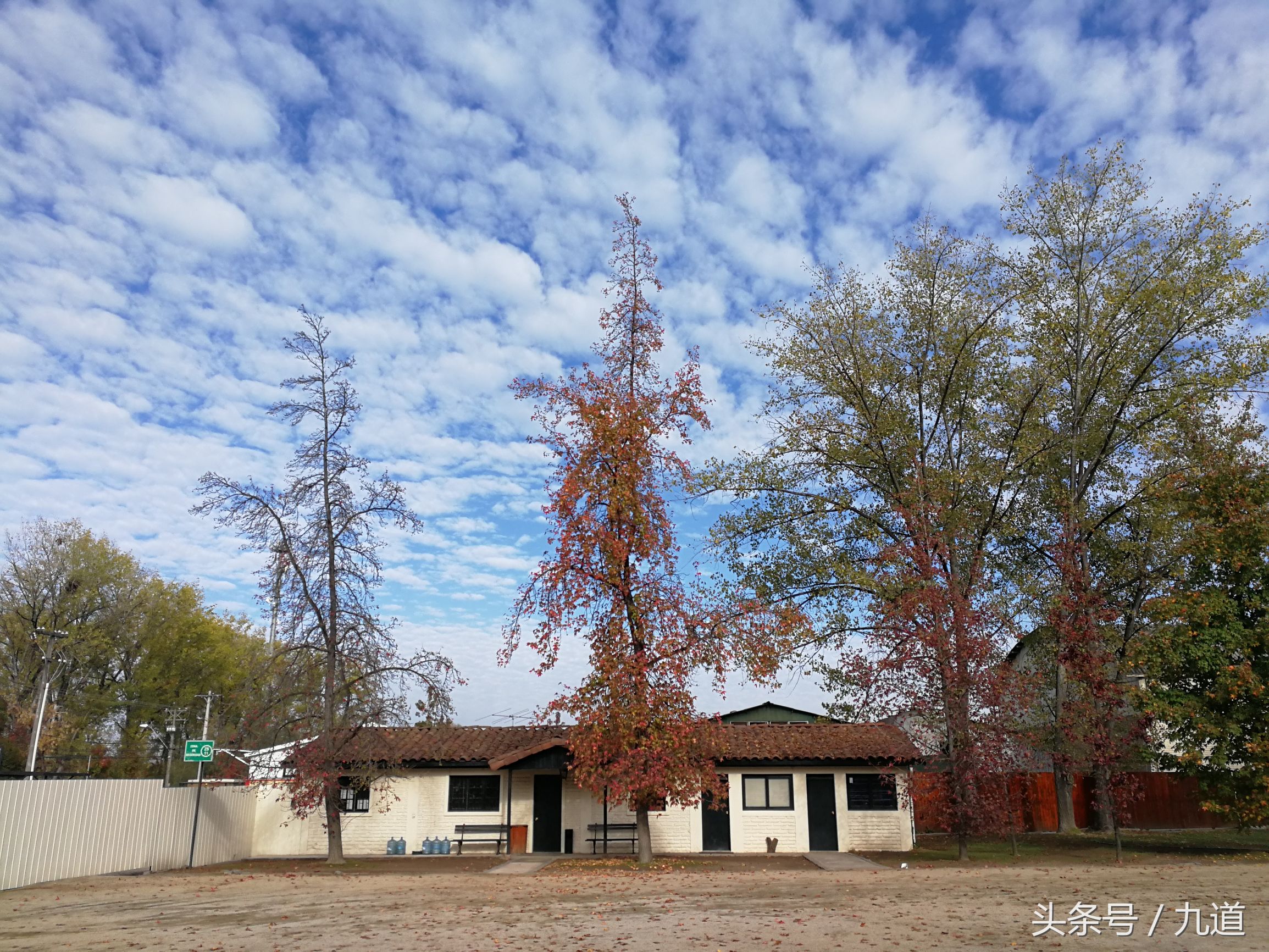 智利佳美娜酒,智利佳美娜品牌推荐