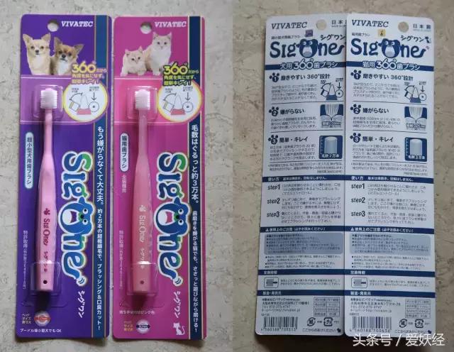 热门网红猫咪牙刷测评,猫咪牙刷测评红黑榜