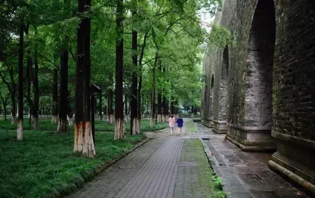 不花一分钱游遍美景,不花一分钱游遍全世界