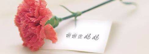 母亲节到了你觉得你妈能快乐吗,母亲节快到了对母亲说些啥