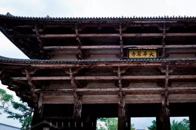 日本旅行游记,旅行千万不要和什么人一起