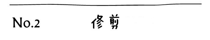 o型胡子怎么打理,胡子怎么打理会比较整齐