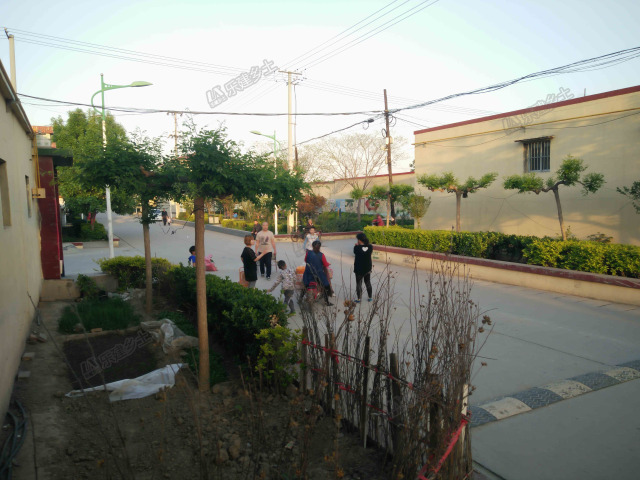 北方一层农村自建房图片大全,北方农村便宜实用一层自建房