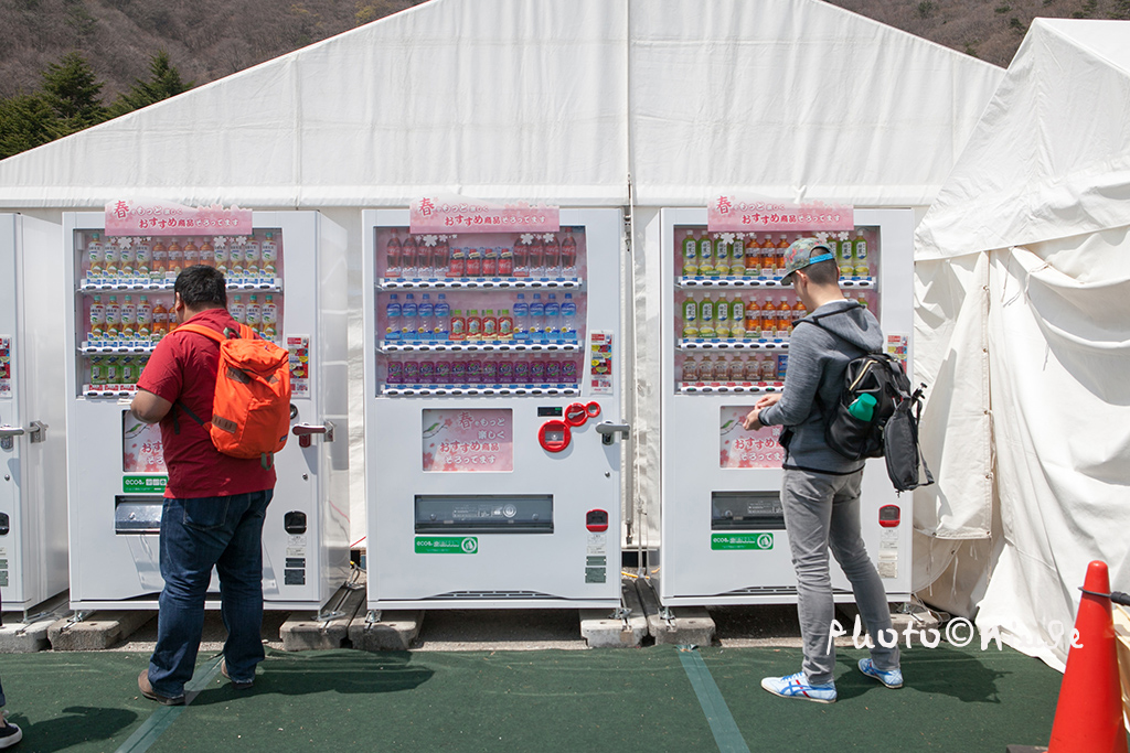澳门航空空姐游东京 富士山下遇见最美的樱花