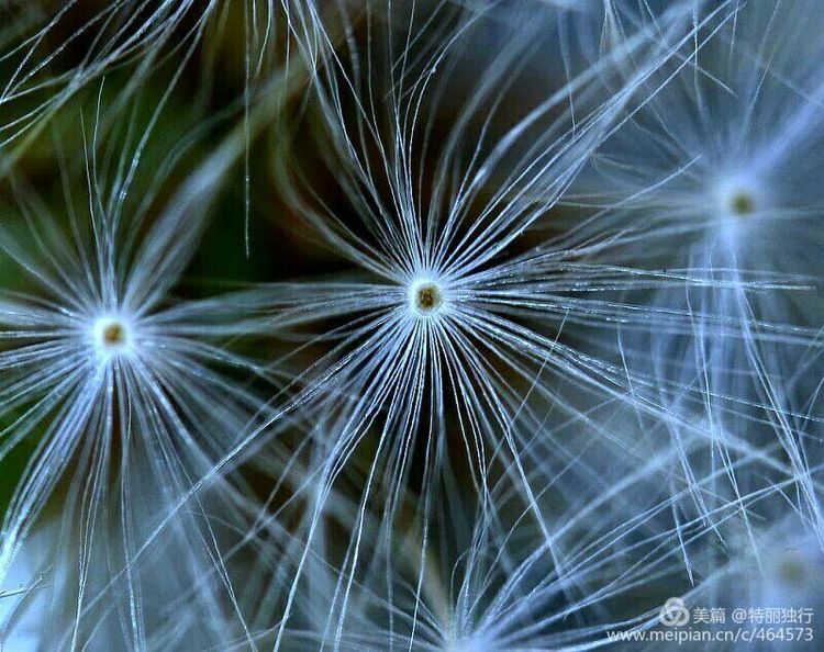 走过四季夏天最美,走过春夏美丽的秋冬