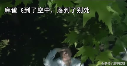 爸爸的小本本,父亲的小本本