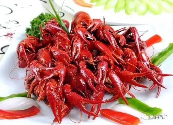 宿迁市区最好吃的小龙虾,江苏省宿迁哪里有小龙虾