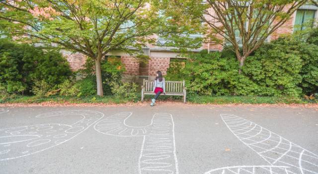 西雅图最浪漫的地方,西雅图一个充满文艺又浪漫的地方