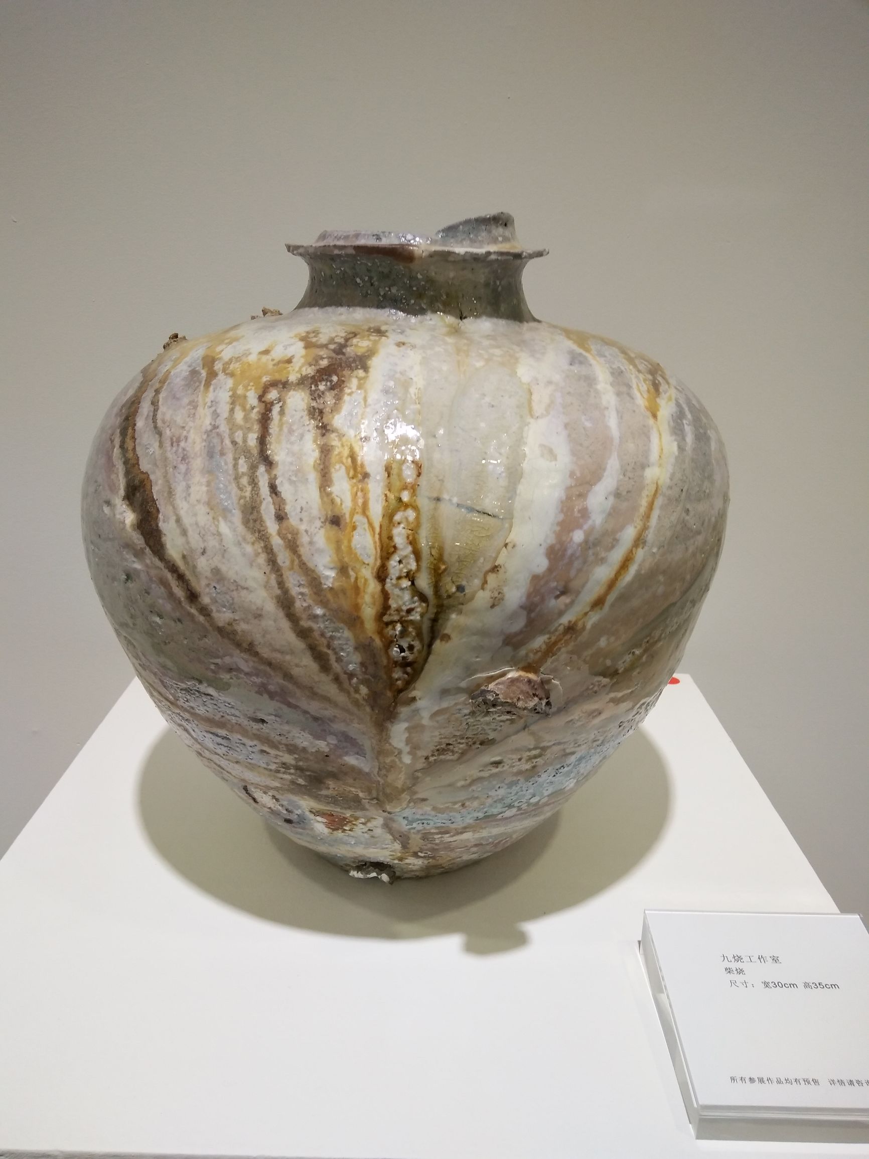 一件精美的瓷器会让你感到安逸,特别精美的瓷器种类