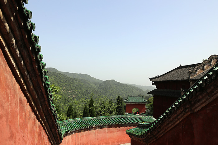 武当山金顶陈师行,武当山道长陈师行走火入魔