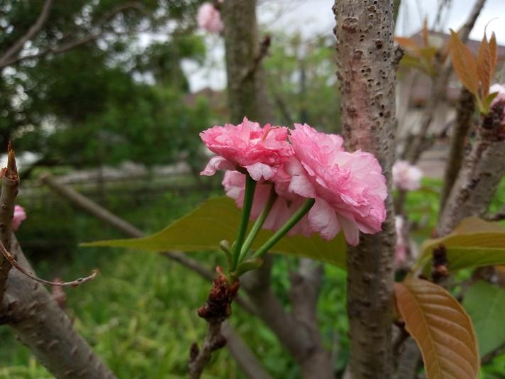 魅蓝e2全部参数配置,魅蓝e2现在值得入手吗