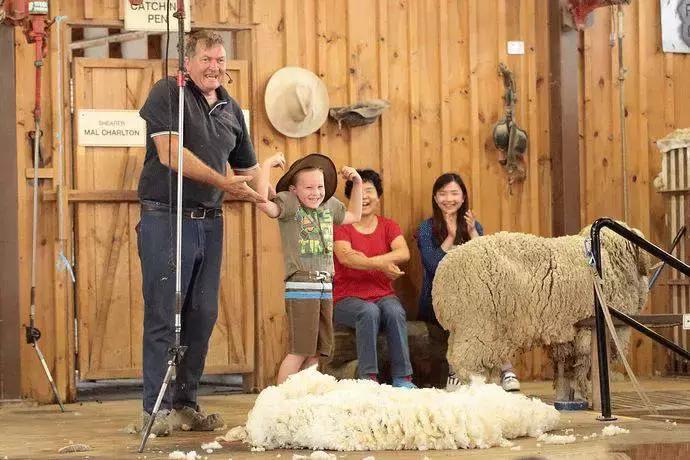 为什么从澳洲留学回来变白了,为什么去澳洲的朋友回来变胖