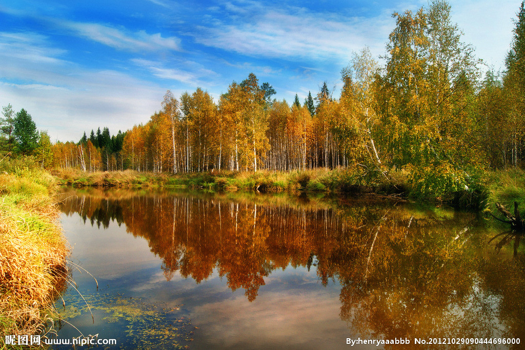 奇案钩沉,奇案钩沉小说