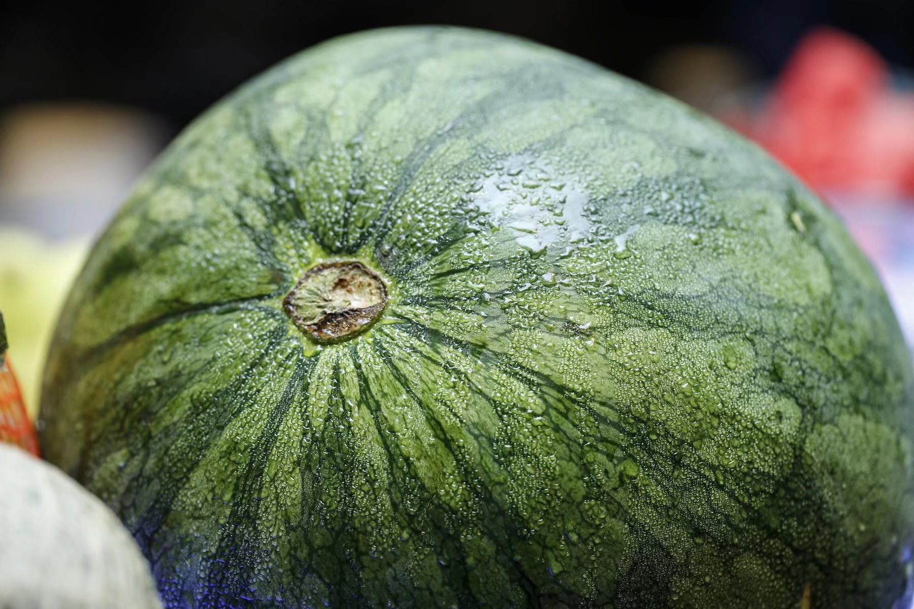 这样的休闲度假方式也很不错