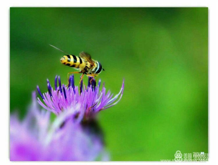 走过四季夏天最美,走过春夏美丽的秋冬