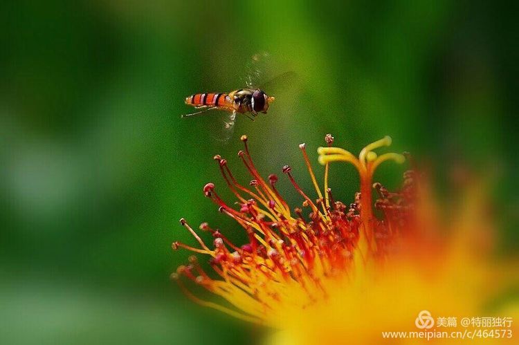 走过四季夏天最美,走过春夏美丽的秋冬