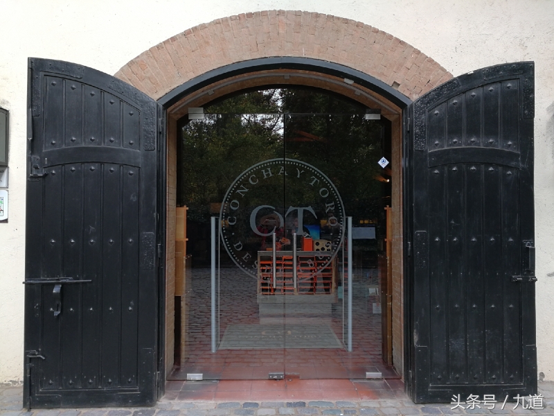 智利佳美娜酒,智利佳美娜品牌推荐