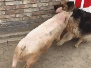 我只注意到后面的亮点了，哈哈