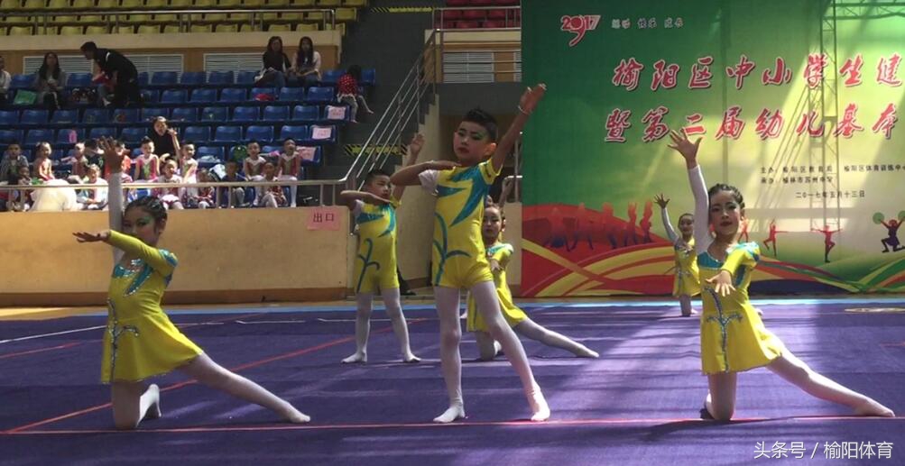 榆阳区中小学生运动会运动项目,榆林市中小学生研学实践活动