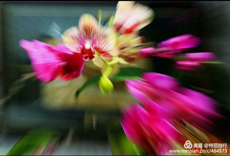 走过四季夏天最美,走过春夏美丽的秋冬