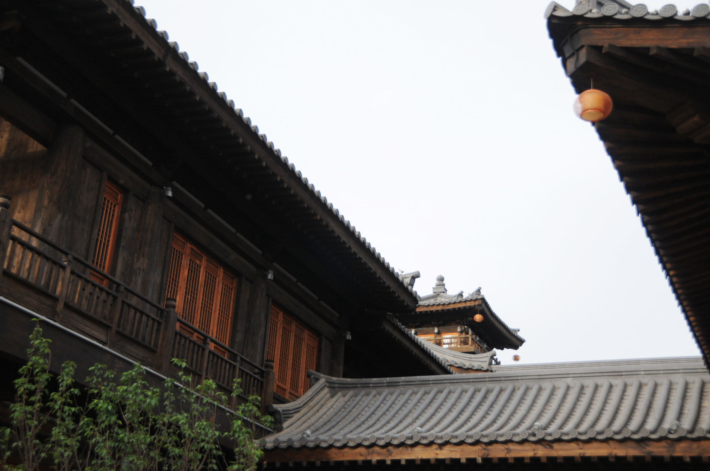 感恩母亲节献爱心活动,感恩母亲节孝心在行动