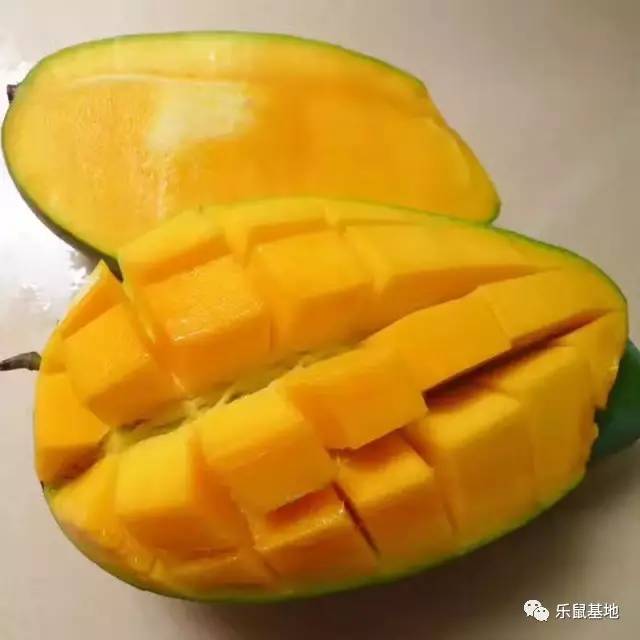 芒果的发展史 (一分钟带你了解芒果)