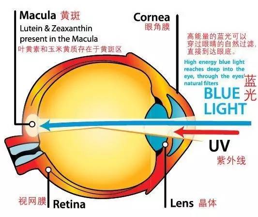 澳洲childprotection,澳洲保护孩子的视力
