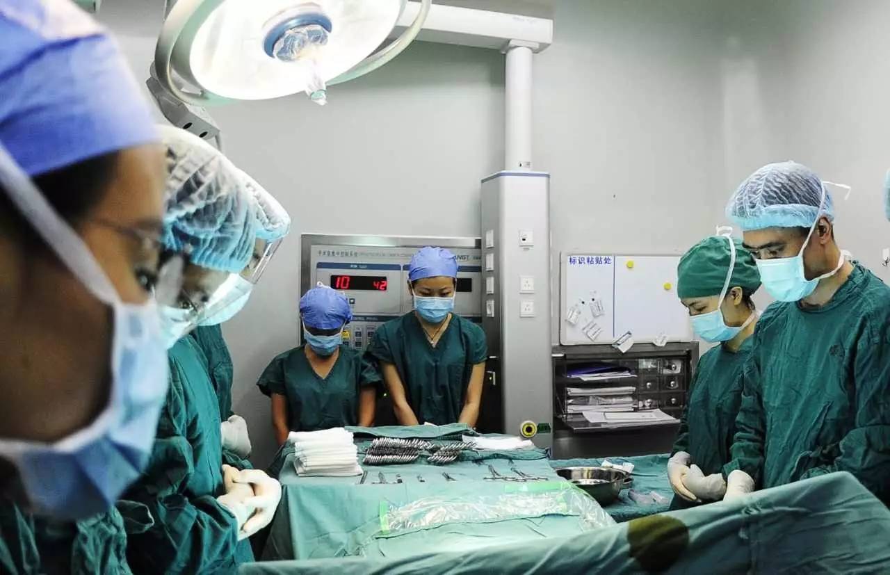 宠物美容师，器官捐献协调员，棋艺教练，3位热血青年勇做职业“尝鲜人”｜人物