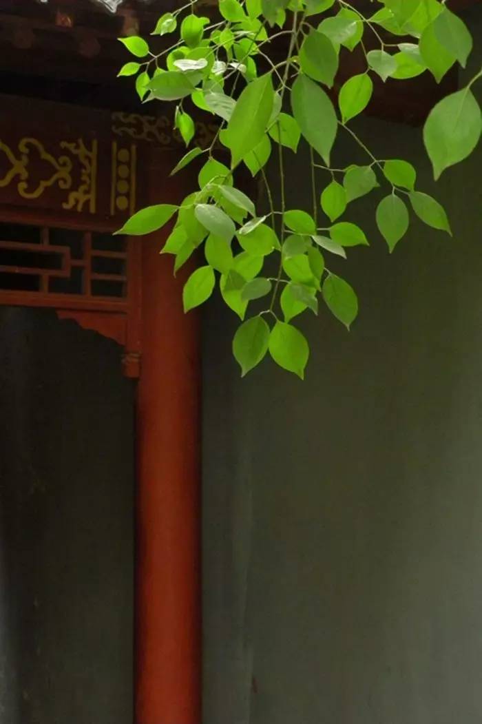 老祖宗留下来的7句狠话句句在理,老祖宗留下来的金句句句在理