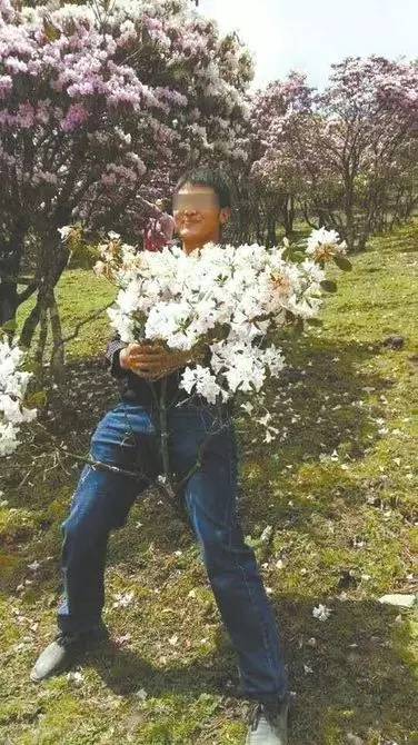 朋友圈霸屏的男人是谁啊,霸屏朋友圈的男人直播