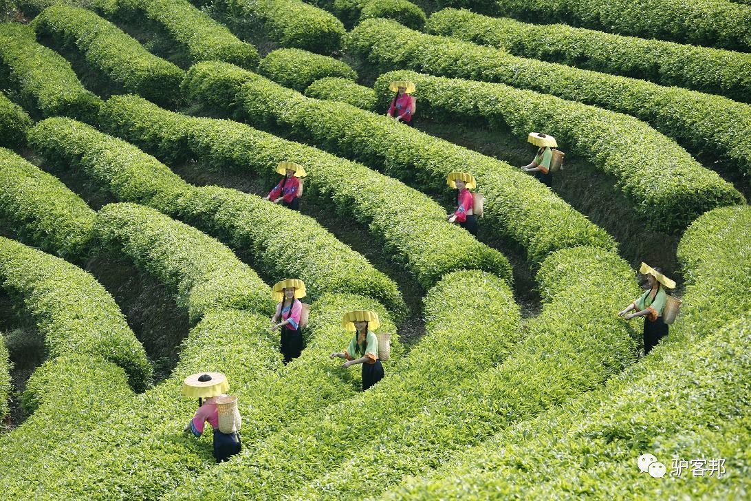 一条让你美到“质疑人生”的微信！