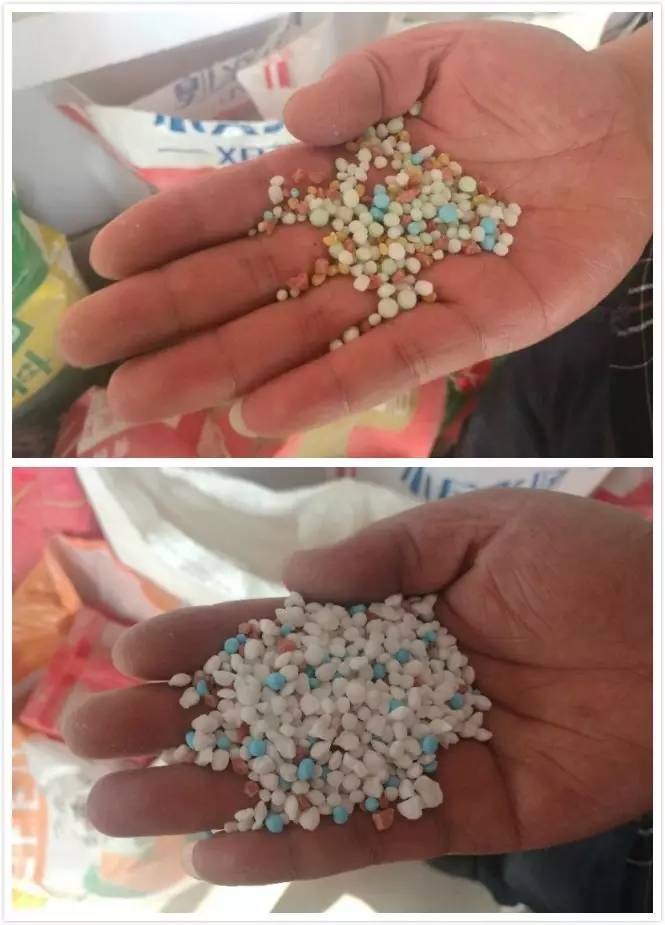 2017东北肥市惨淡，只是因为种植结构调整么？不见得！