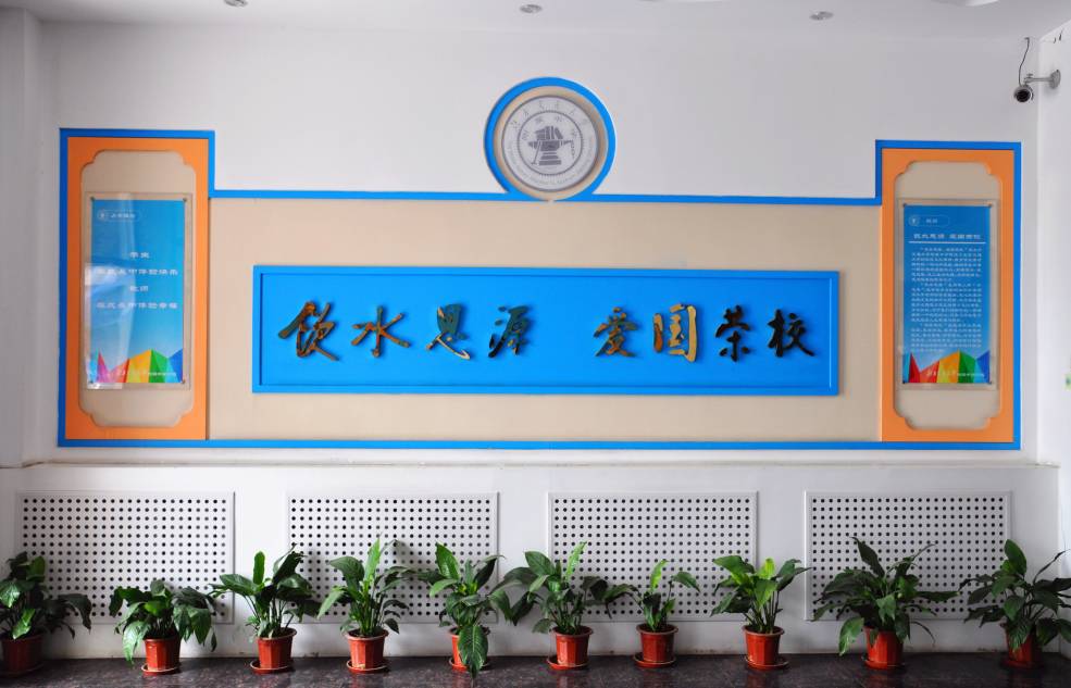 新优质学校展示会,新优质学校风采展示