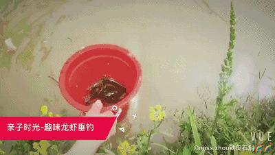 宁波5月19日半价旅游景点有哪些,宁波鄞州景区免门票