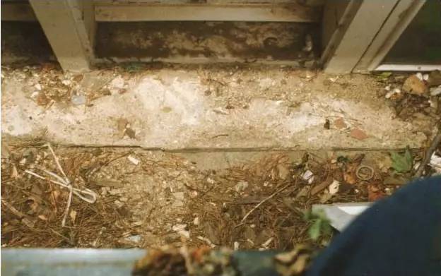 美国童星被杀案,美国童模被杀案