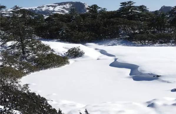 春天来春城昆明7大赏花好去处,昆明小众避暑胜地推荐