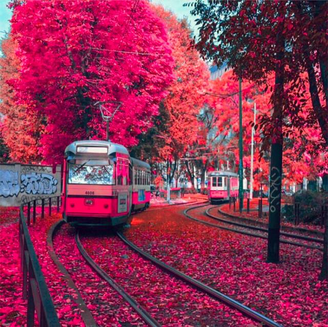 一条让你美到“质疑人生”的微信！