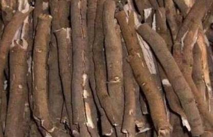 中药知识必学杜仲,中药牡丹皮的功效作用