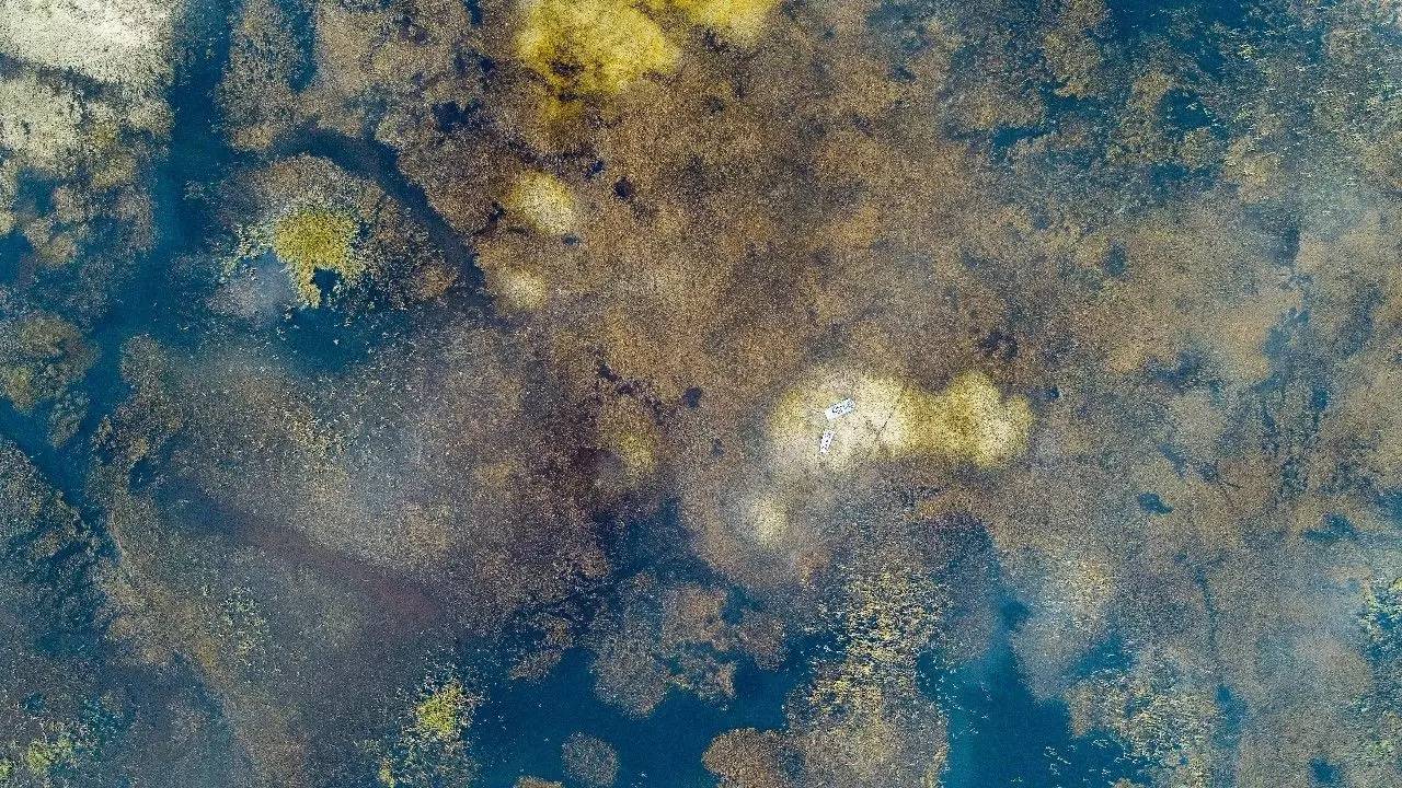 阳光之州是美国哪个州,阳光之州佛罗里达