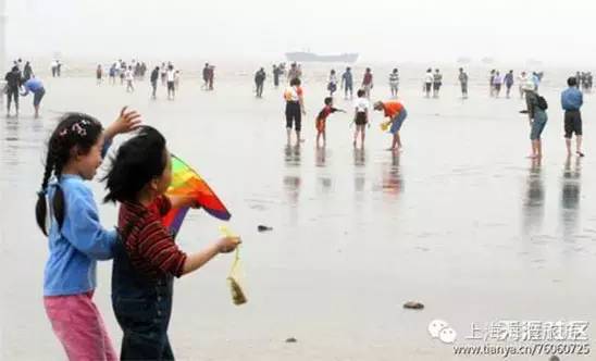寻找奉贤之美海湾旅游区：上海最绵长的沙滩，31.6公里长的海岸线横亘东西