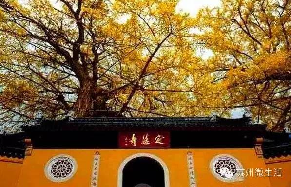 苏州最值得去的五个景点,苏州最值得去的10个景点排名