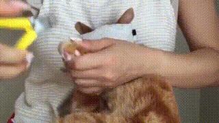 爱妖经｜给主子一个蒙眼神器，玩你想玩不敢玩的play