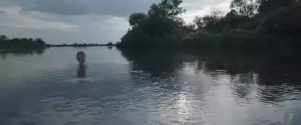 再现地狱！扣眼掏肠、滚水刮皮、焚烧幼童，这只是真实的十分之一