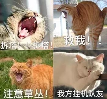 国产最烂3d动漫,那些3d画风被毁的动画片