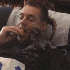 小狗偷吃口红拒不承认，铲屎的：喂，你当我是瞎吗！