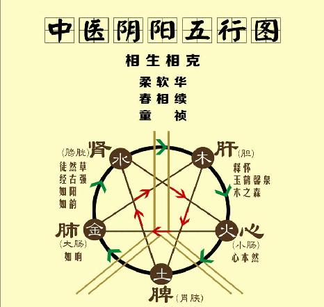 中医养生的阴阳理论及阴阳平衡,关于中医养生学的调和阴阳