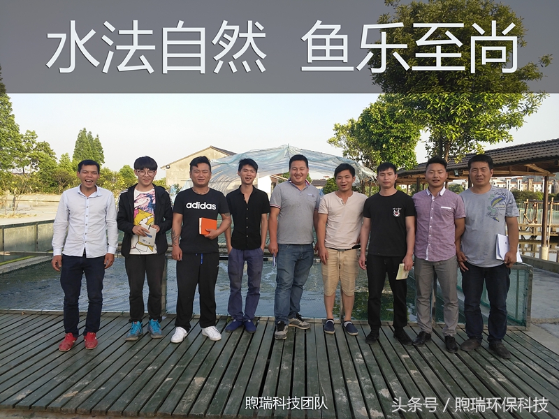 锦鲤养殖的水质指标您了解吗？